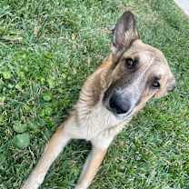 Thumbnail photo of Abigail #3