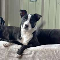 Thumbnail photo of Luna #1