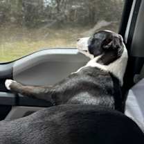 Thumbnail photo of Luna #3