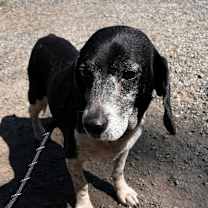 Thumbnail photo of Henderson #2