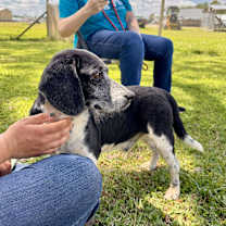 Thumbnail photo of Henderson #3