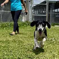 Thumbnail photo of Henderson #1