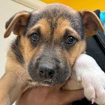 Thumbnail photo of London #2