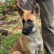 Thumbnail photo of Maya #2