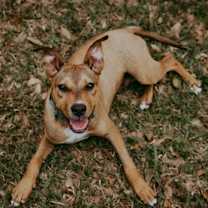 Thumbnail photo of Maxley #2