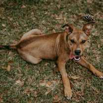 Thumbnail photo of Maxley #3