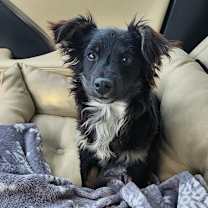 Thumbnail photo of Tony #2