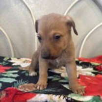 Thumbnail photo of Amy #4