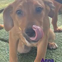 Thumbnail photo of Anna #4