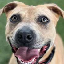 Thumbnail photo of Kendra #3