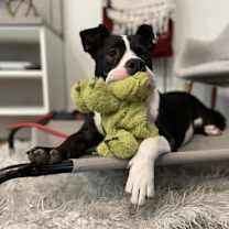 Thumbnail photo of Arnold #4