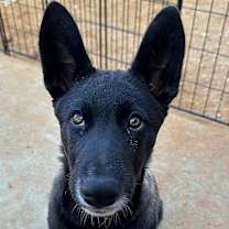 Thumbnail photo of TINK #1