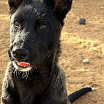 Thumbnail photo of TINK #3