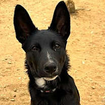 Thumbnail photo of TINK #2