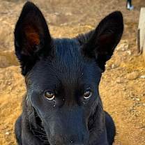 Thumbnail photo of TINK #4