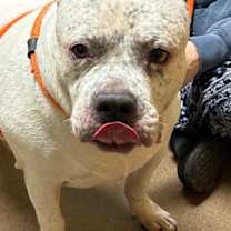 Thumbnail photo of Gloria Storm Philly #3