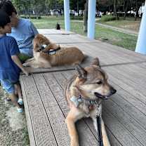 Thumbnail photo of Peach #4