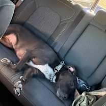 Thumbnail photo of Mack #4