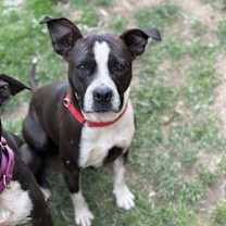 Thumbnail photo of Miriam #1