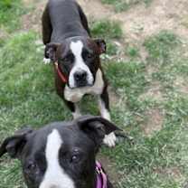 Thumbnail photo of Miriam #2