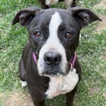 Thumbnail photo of Martha #1