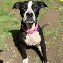 Thumbnail photo of Martha #2