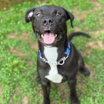 Thumbnail photo of Daniel #3