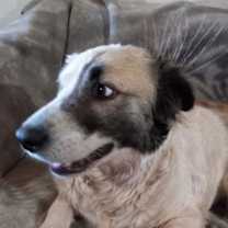 Thumbnail photo of COURTESY POST Squeak #3