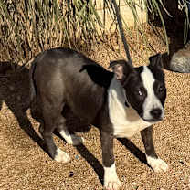 Thumbnail photo of Kya #1