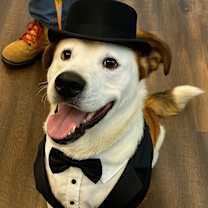 Thumbnail photo of Mohawk #1