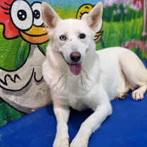 Thumbnail photo of LUNAH (Mid-East) kt #2