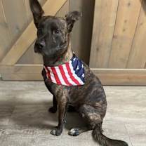 Thumbnail photo of Kona #2