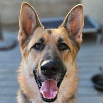 Thumbnail photo of Gunner #1