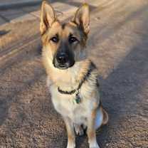 Thumbnail photo of Gunner #2