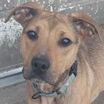 Thumbnail photo of Wrigley #1