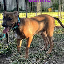 Thumbnail photo of Jamie #1