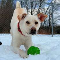 Thumbnail photo of Chloe #1