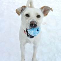 Thumbnail photo of Chloe #2