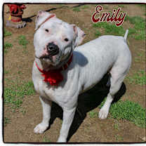 Thumbnail photo of Emily #2