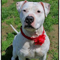 Thumbnail photo of Emily #3