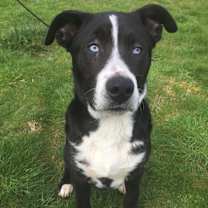 Thumbnail photo of COLE #4