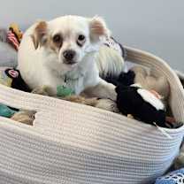 Thumbnail photo of Tate #2