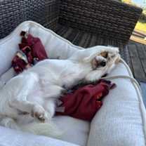 Thumbnail photo of Tate #4