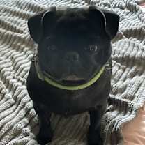 Thumbnail photo of Peter #3