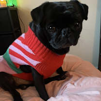 Thumbnail photo of Peter #4