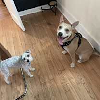 Thumbnail photo of Donut #3