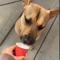 Thumbnail photo of CIDER #3