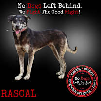 Thumbnail photo of Rascal 9746 #2