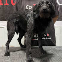 Thumbnail photo of Belle 3916 #2