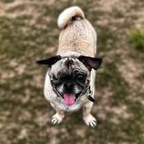 Thumbnail photo of Chiquita #1